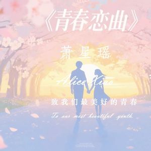 热恋蔷薇
