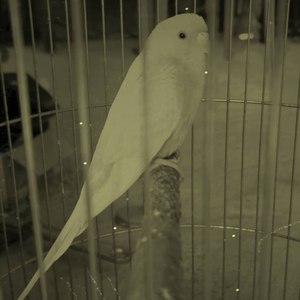 牛仔裤能穿多久