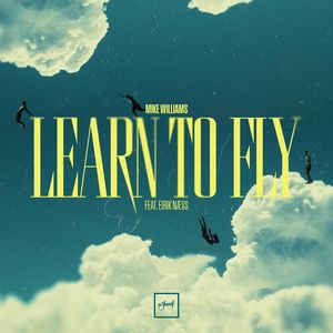 Learn To Fly (Extended Mix)