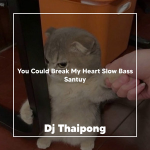 You Could Break My Heart Slow Bass Santuy
