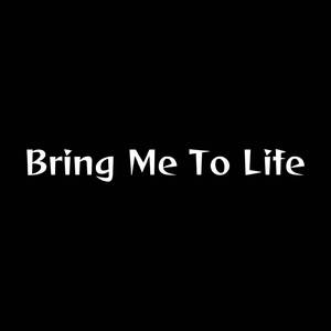 Bring Me To Life (Cover)