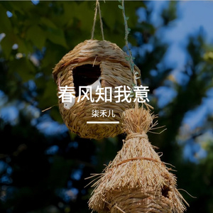 春风知我意 伴奏