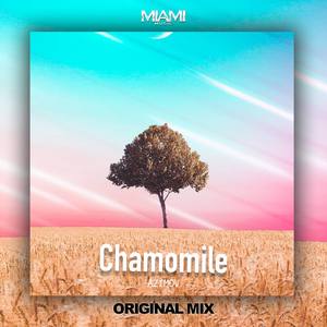 Chamomile