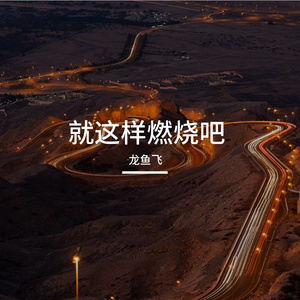 就这样燃烧吧