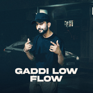 Gaddi Low Flow