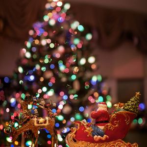 All I Want For Christmas Is You（Cover Mariah Carei）