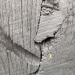 Scratches