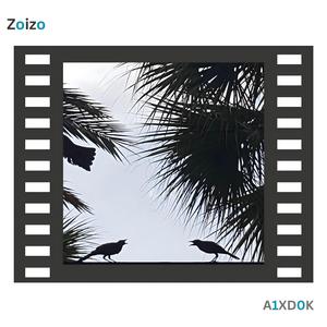 Zoizo