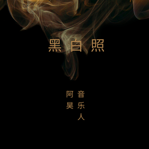 邓丽欣-黑白照（音乐人阿昊/DJ Susan bootleg）