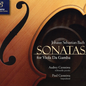 Er rufet seine Schafen mit Namen, BWV 175: Aria: Es dunket mich, ich seh dich kommen (arr. for cello piccolo and harpsichord)