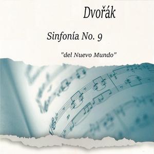 Symphony No. 9 in E Minor, Op. 95: II. Largo