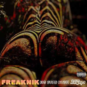 Freaknik (feat. Big Sumo Kush)