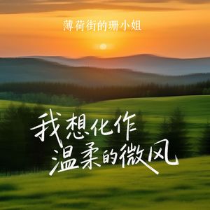 我想化作温柔的微风