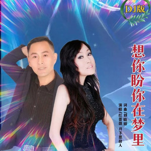想你盼你在梦里 (DJ对唱版伴奏)