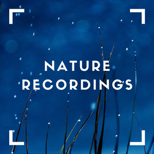 Nature Recordings (Waterfall)