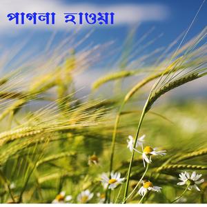 Chaile Ki Sob Pawa Jay