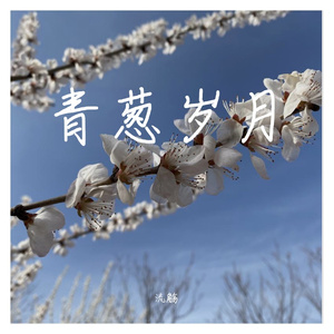 写给自己20岁的歌