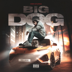 BIG DOG