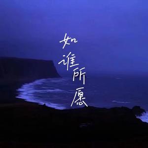 如谁所愿