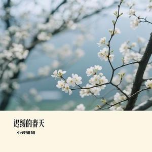 迟缓的春天 (Cover 口袋里的糖)