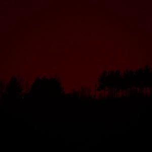 leaved things behind, walked many miles