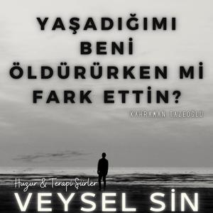 Yaşadığımı öldürürken mi fark ettin (Aşk şiiri)