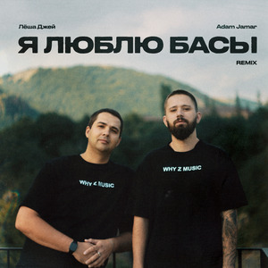 Я люблю басы (Remix)
