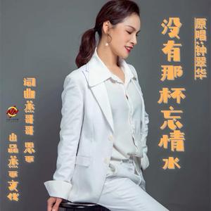 没有那杯忘情水 伴奏