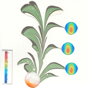Binaural waves (Stimulus)