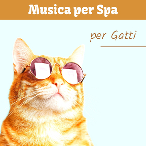 Musica per spa per gatti