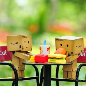 不知归期的故人