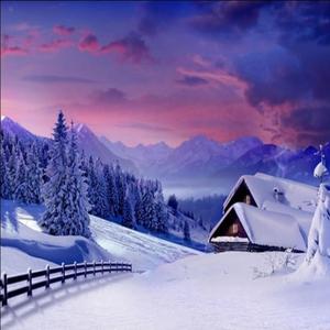 'Winter Glow'