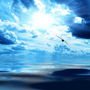 Tomorrow´s Paradise