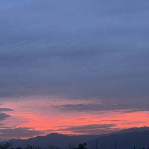 今生你作伴《白蛇传》