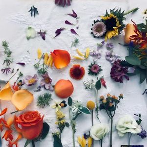 洛神之天阙恋曲