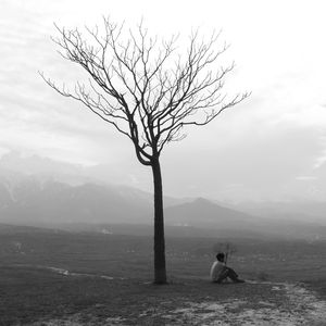 整座城都在陪我失眠
