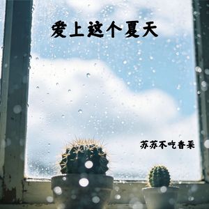 爱上这个夏天