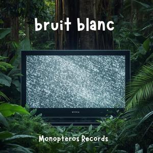 bruit blanc