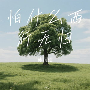怕什么西行无归