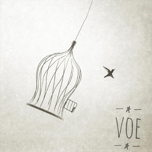 Voe