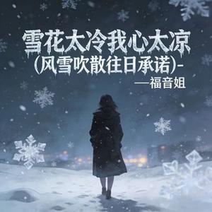 雪花太冷我心太凉 (烟嗓版)