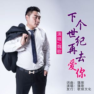 下个世纪再爱你