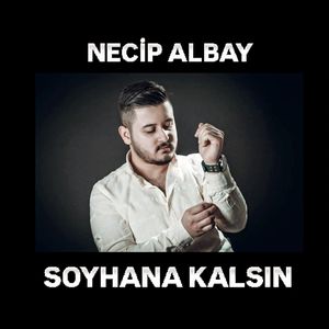 Soyhana Kalsın