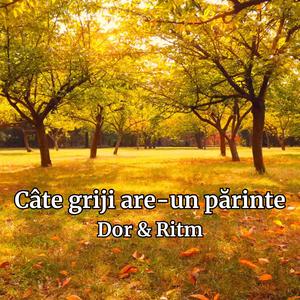 Câte griji are-un părinte