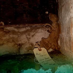 The Raven Was Called Sin.