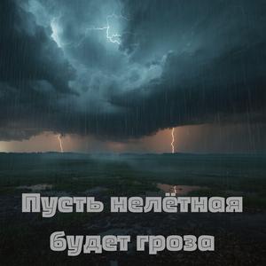 Пусть нелётная будет гроза
