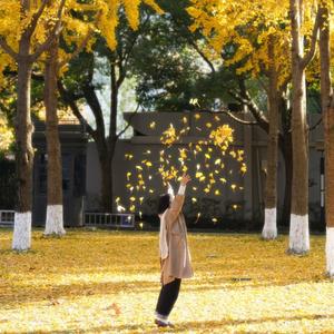 你只需要做好你自己就好