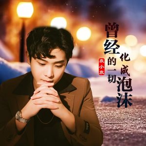 曾经的一切化成泡沫