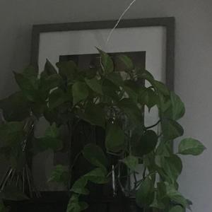 DON'T SAY TOO MUCH (feat. Katara)