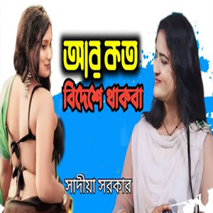 আর কতো বিদেশ থাকবা